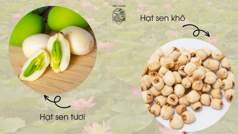 các loại hạt sen huế