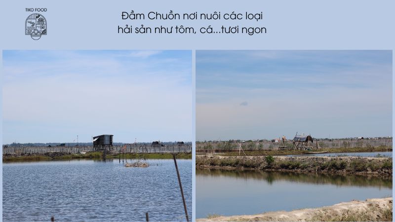 Đầm phá nơi nuôi hải sản tươi ngon 