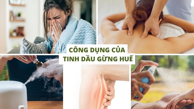 công dụng của tinh dầu gừng