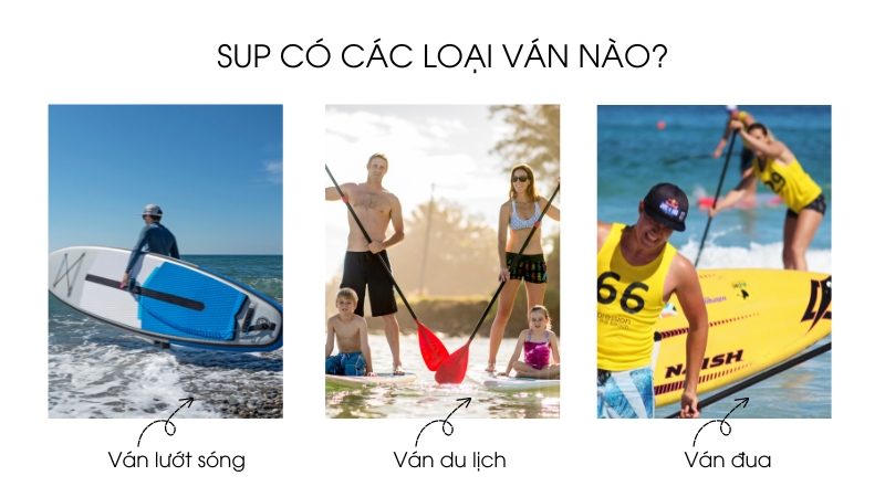 các loại sup 