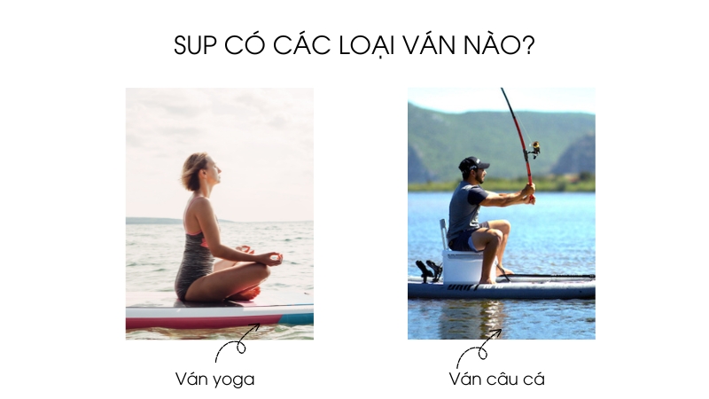 các loại sup cơ bản 